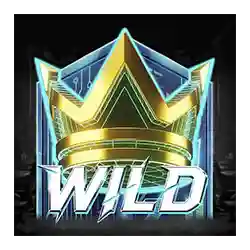 Символ Wild