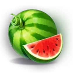Symbol 3 Fortune Coins 2