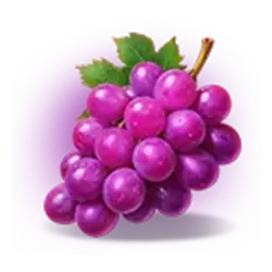 Symbol 4 Fortune Coins 2
