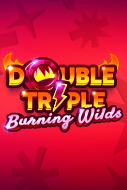 Double Triple Burning Wilds Free Play in Demo Mode