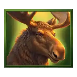 Symbol 3 Grand Buffalo Hold and Win