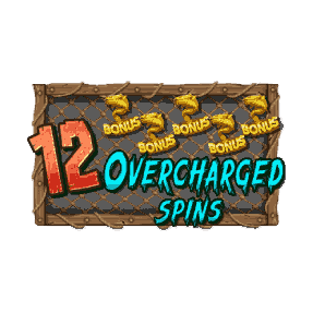 Overcharged Spins image