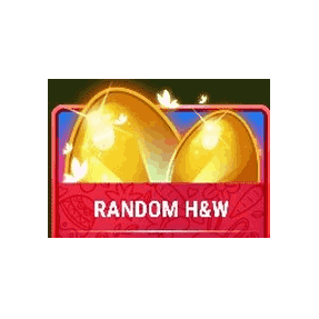 Random Features image