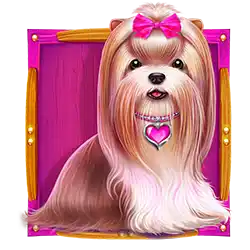 Symbol 2 The Big Dog House