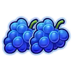 Icon 4 Thunder Coins XXL: Multicoin