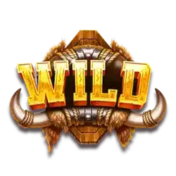 Символ Wild