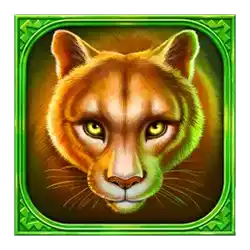 Icon 3 Ultra Buffalo Hold and Win