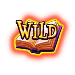 Wild Symbol of Any Witch Way Slot