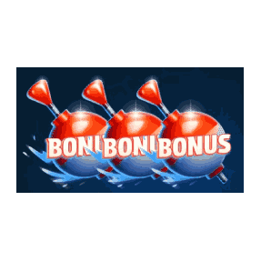BONUS image