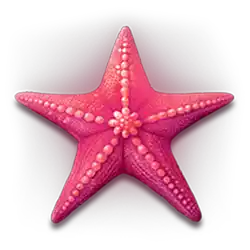 Символ3 слота Dolphin’s Treasure Pearls