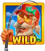 Wild символ