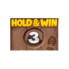 Hold and Spin image