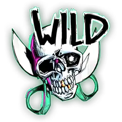 Wild Symbol of Skull and Compass Slot