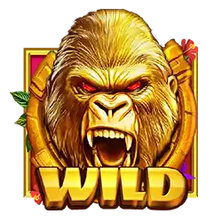 Символ Wild