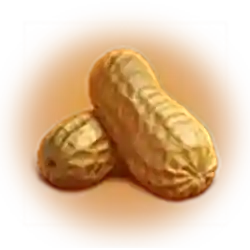 Icon 5 3 Fortune Nuts