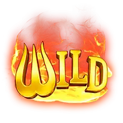 Wild Symbol of Burning Coins 100 Slot
