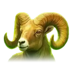 Icon 5 Charge Bison