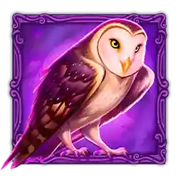 Icon 4 Druid’s Fortune