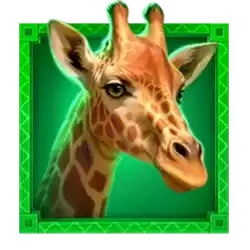 Symbol 3 Golden Lion Wild Savanna
