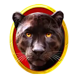 Symbol 1 Lucky Selva Hold And Win