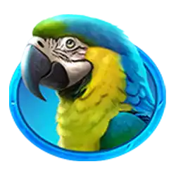 Symbol 2 Lucky Selva Hold And Win