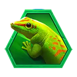 Symbol 3 Lucky Selva Hold And Win