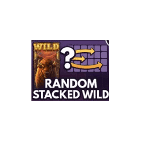 RANDOM STACKED WILD image