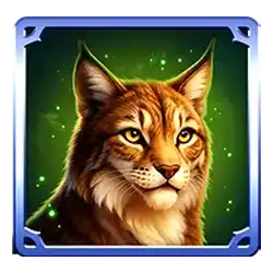 Icon 3 Wolf Storm Hold & Win