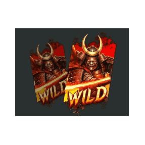 FREE SPINS + 2 WILDS  image