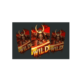 FREE SPINS + 3 WILDS  image
