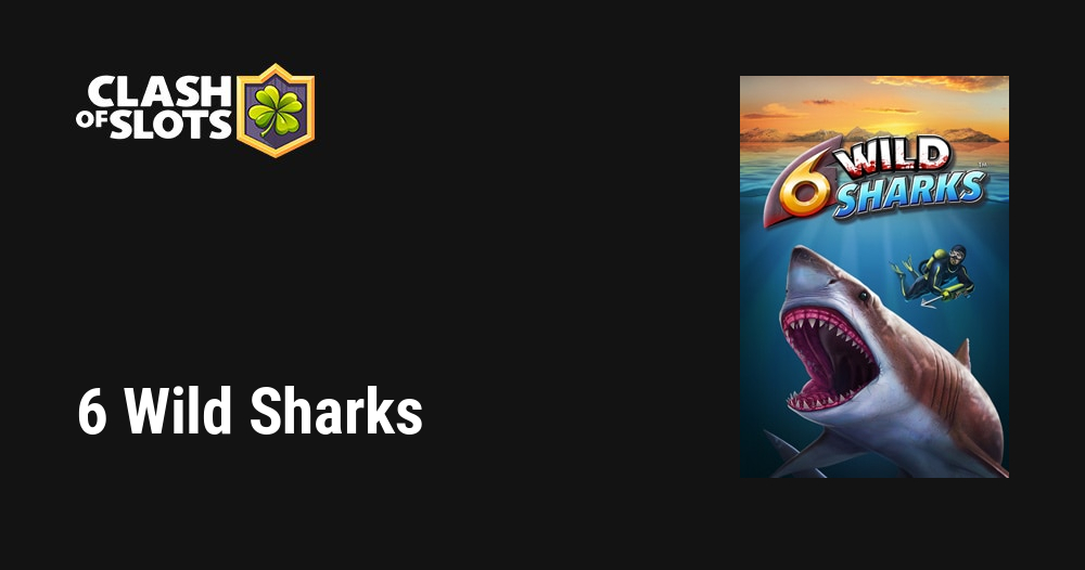 6 Wild Sharks -  - Official home of 9k Yeti